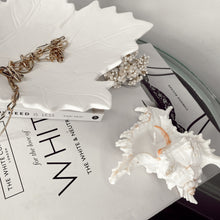 Load image into Gallery viewer, White Murex Shell Candle