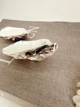 Load image into Gallery viewer, Recycled Oyster Shell Candles
