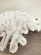 Load image into Gallery viewer, White Coral Ornament
