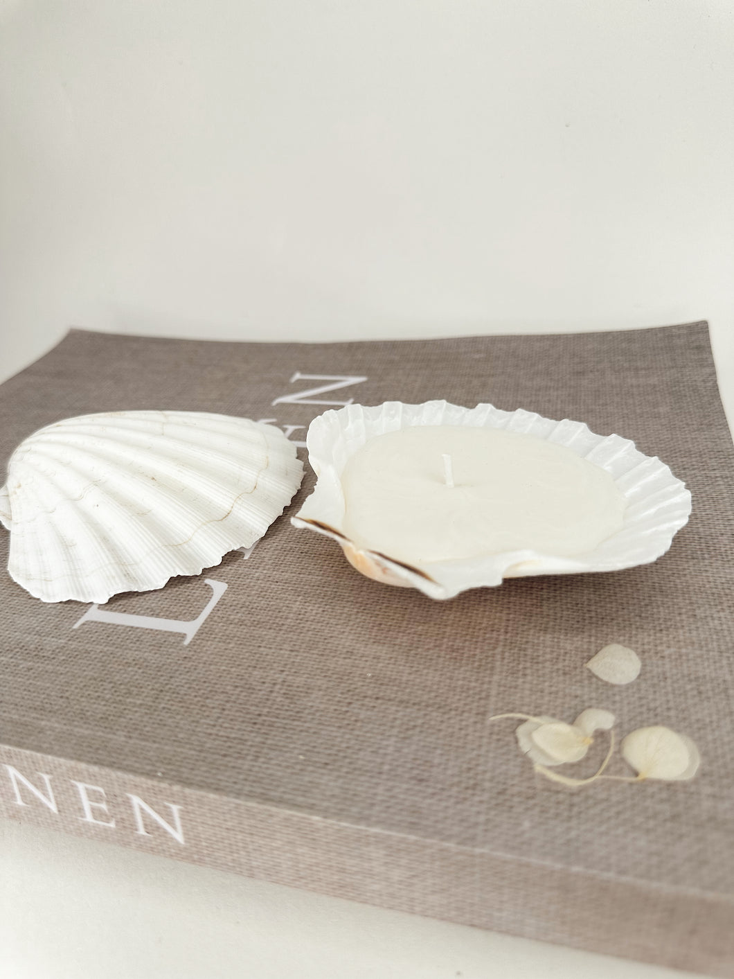 Two Scallop Shell Candles