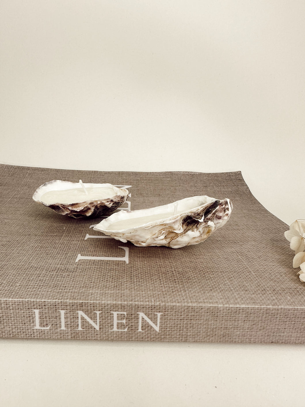 Recycled Oyster Shell Candles