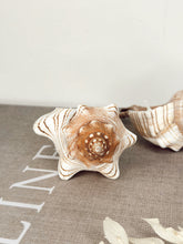 Load image into Gallery viewer, Two Fox Shell Candles
