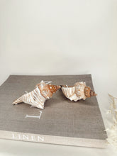 Load image into Gallery viewer, Two Fox Shell Candles
