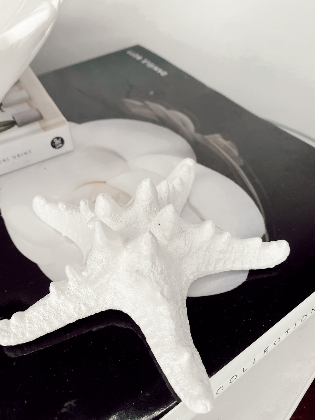 Star Fish Ornament