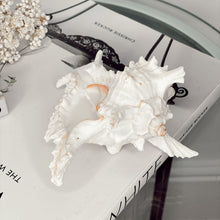 Load image into Gallery viewer, White Murex Shell Candle

